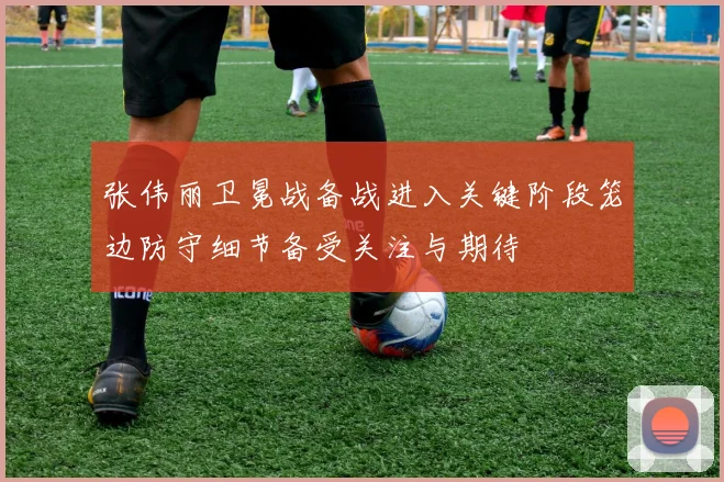 张伟丽卫冕战备战进入关键阶段笼边防守细节备受关注与期待